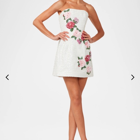 HELSI
Frida Beaded Floral Appliqué Mini Dress - Picture 2 of 4